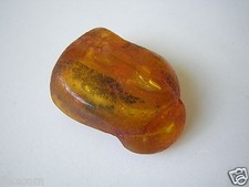 Honig Roh Bernstein Amber