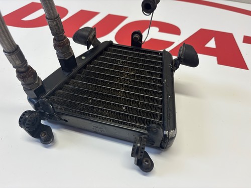 Ducati ölkühler oilcooler - ducati,