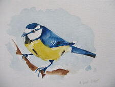 Orig.Aquarell "Meise-Vogel" 14,8x10,5 cm,