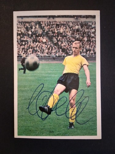 Siegfried held borussia - siegfried,