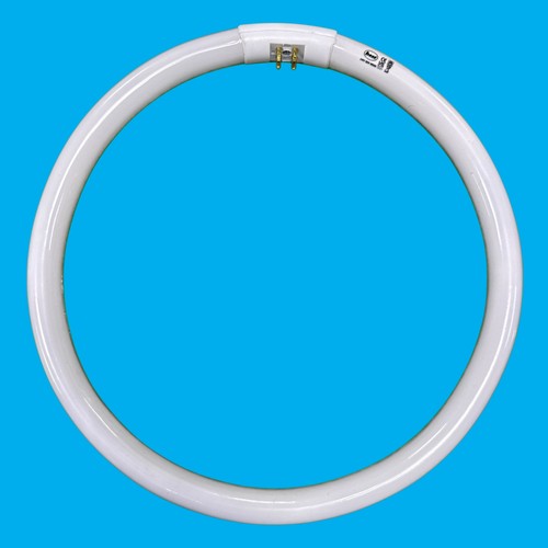 32w g10q pin - 32w, t5