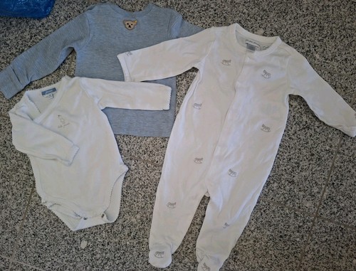 Ralph lauren steiff - ralph,