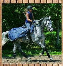 Horseware Rhino Competition Sheet, Ausreitdecke, Trainingsdecke,wasserdicht,navy