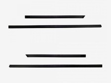 Seitenschutzleisten schwarz