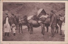 EK94, Ansichtskarten, Postkarten, Epe, Pferdezüchter