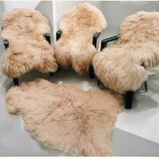 Echtes Schaffell | Viele Bunte