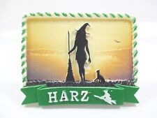 Harz Hexe Katze schwarz