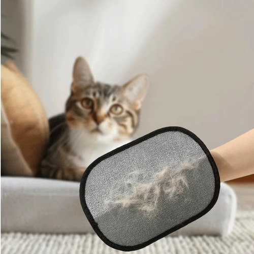 Tierhaar handschuh hund - hund, katze
