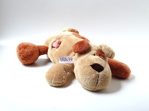 Nici hund liegend - hund, knochen