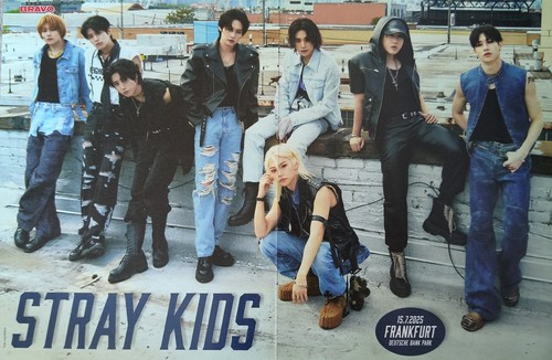 Stray kids a3 poster - stray,