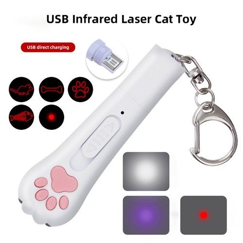 Cat interactive - 5,