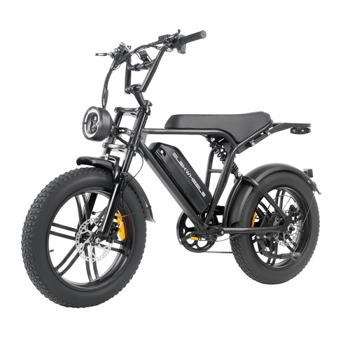 Zoll elektrofahrrad 250w - e6,
