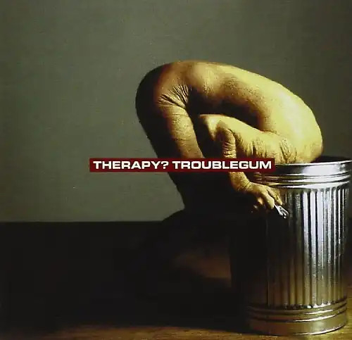 Therapy troublegum - therapy?,