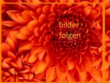 LEGO® Sets Spiele Koffer