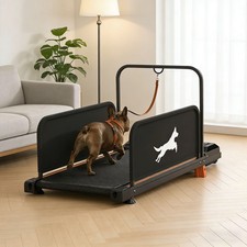 Professionelles Hundelaufband