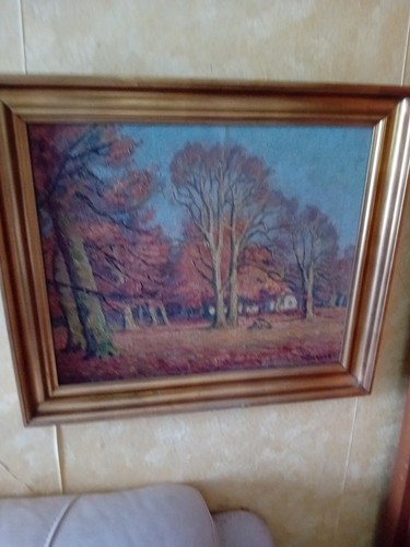 Haus wald bild - haus, auf