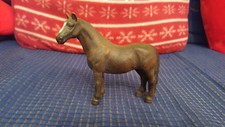 Warmblüter Stute dunkelbraun