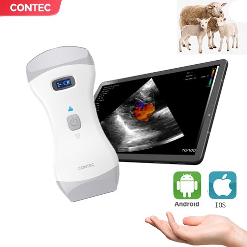 Tragbarer veterinär - tragbarer,