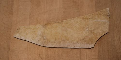 Fossil haarsterne seelilie - fossil, 2