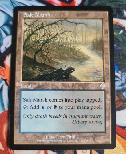 Mtg salt marsh nm - mtg,