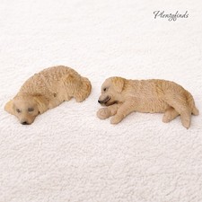 Schlafender hund miniatur - schlafender,