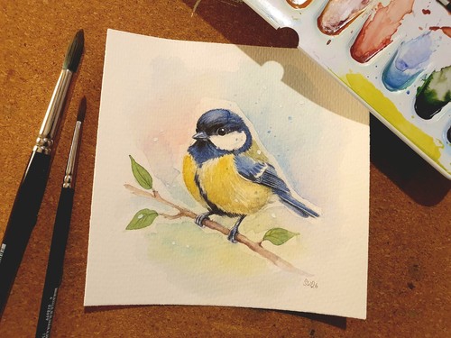 Aquarell kohlmeise - aquarell,