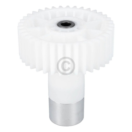 Zahnrad stirnrad 10018164 - /,
