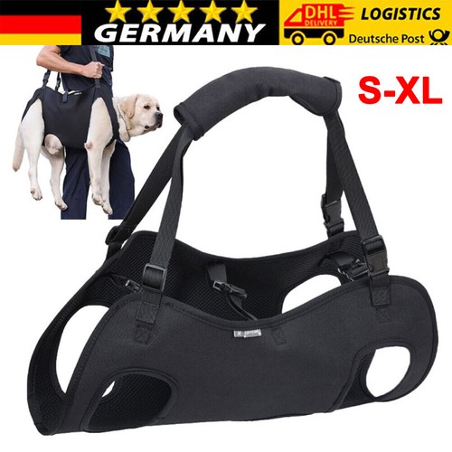 Hundetransporter älterer