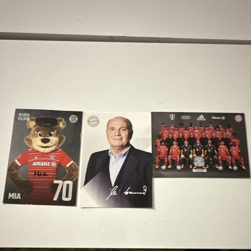 Bayern münchen - fc,