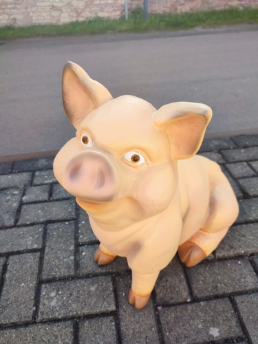 Schwein sitzend hausschwein - schwein,