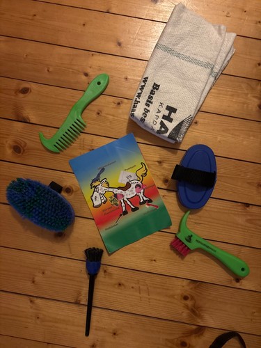 Pferde putzset plus sattel - sattel, und
