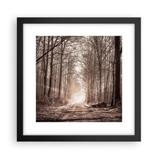 Wandbilder 30x30cm poster wald - 30x30cm,