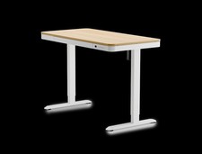 FLEXISPOT Q3M elektrischer