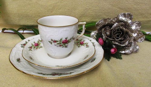 Rosenthal sanssouci moosrose - rosenthal,