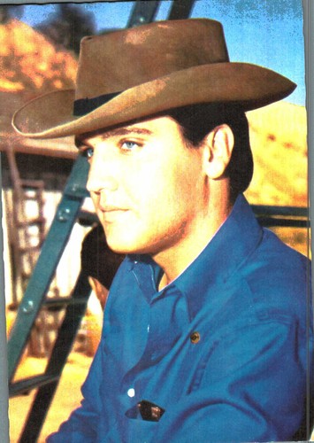 Elvis presley original - presley, *