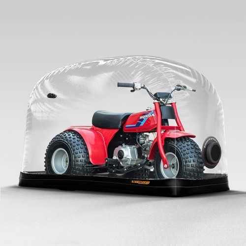 Amazon protection indoor - amazon,