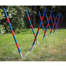 PROCYON Dog Agility Profi Alu