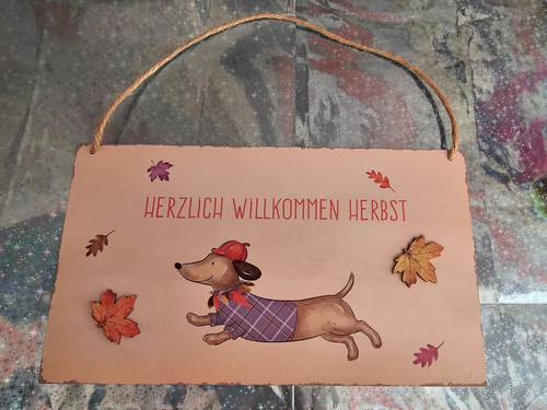 Dackel herzlich willkommen - dackel--herzlich,