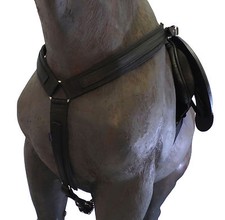 Offizielle Libbys AUSDAUER