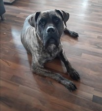 Individuelles Lithophane LED-Bild/ Bild mit Hintergundbeleuchtung (3D Druck)