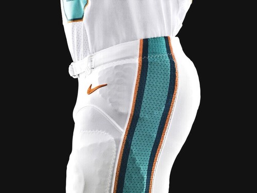 Miami dolphins team - miami,