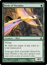 Magic MTG - Paradiesvögel - Ravnica: Die Stadt der Gilden - PLAYED - DE
