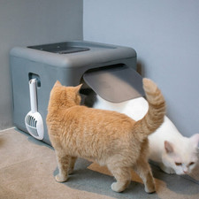 Katzentoilette XXL Katzenklo