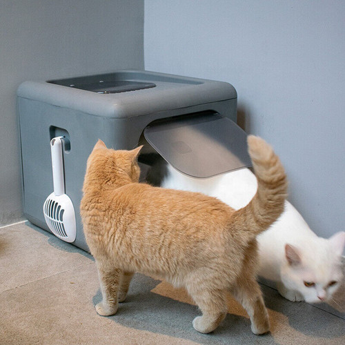 Katzentoilette xxl katzenklo - katzentoilette,