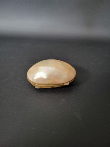 Alte antike muscheldose - alte/antike,