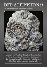 DER STEINKERN 37: Yorkshire -