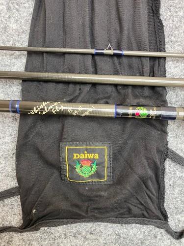Daiwa whisker salmon - salmon, 13ft