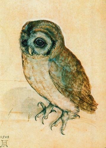 Kunstkarte albrecht dürer - albrecht,