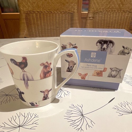 Ashdene fine bone china becher - bone,