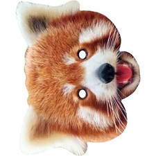 Roter panda bär tier promi - roter,